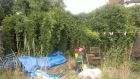 What&#039;s under here? Carshalton neglected &amp; overgrown garden